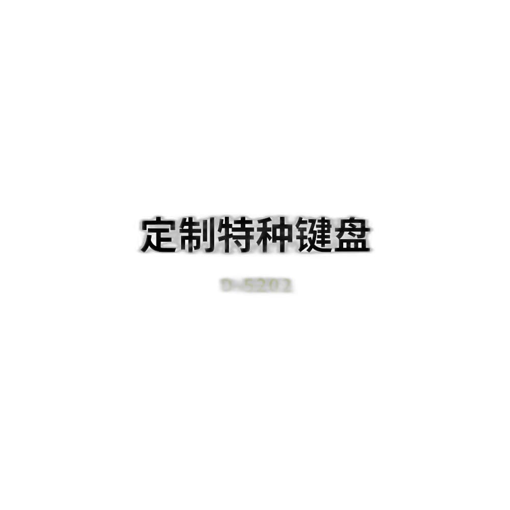 D-5202 Custom Special Industrial Keyboard image 2