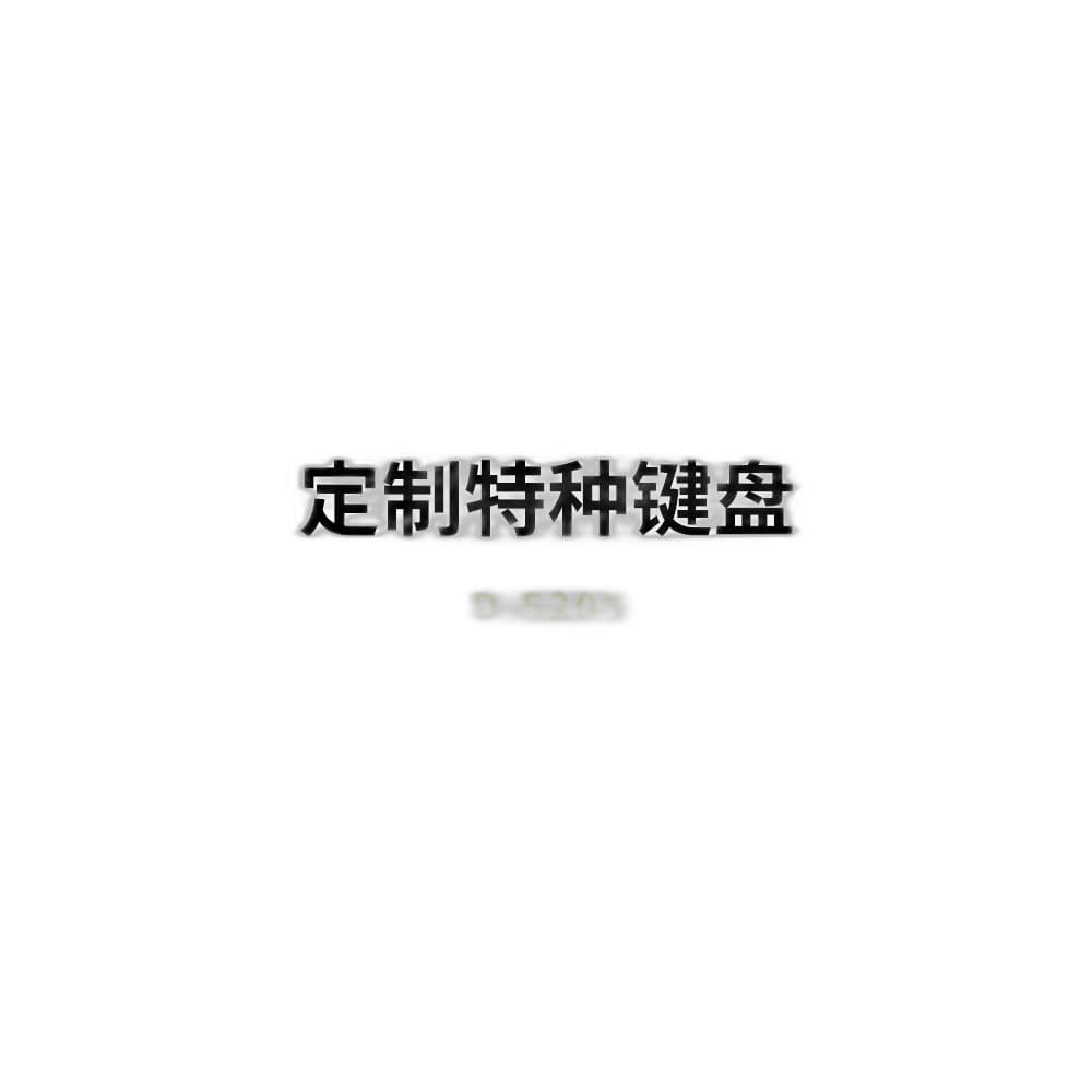 D-5205 Custom Special Industrial Keyboard image 2