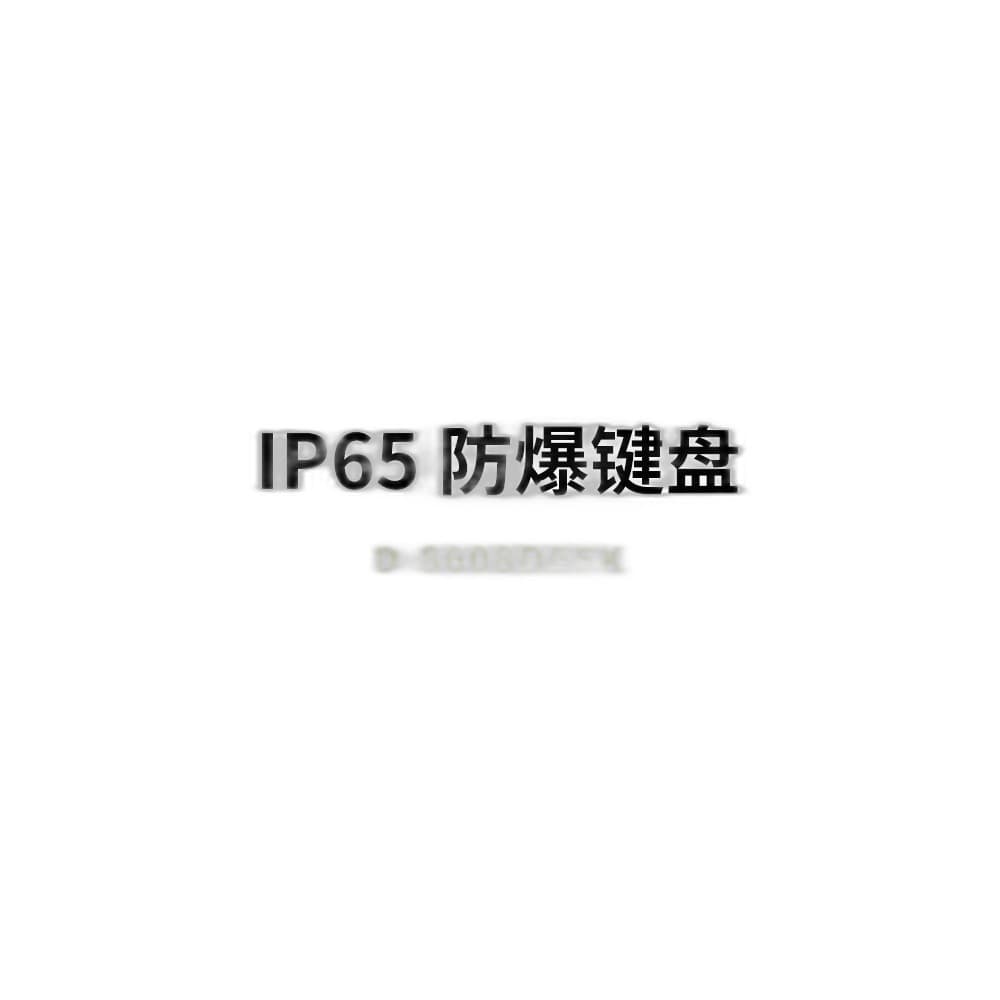 D-8608DESK Hazardous-Area Industrial Keyboard image 2