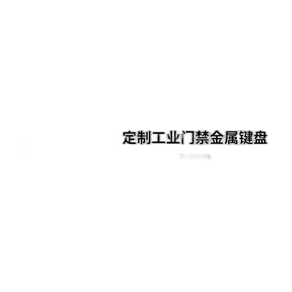 D-89141 Custom Access-Control Metal Keyboard image 2